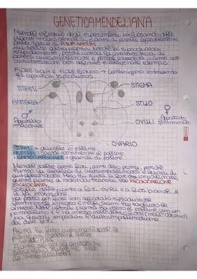 Genetica Mendeliana: Riassunto, Esercizi, Zanichelli - PDF