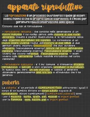 Apparato Riproduttivo Maschile e Femminile: Riassunto e Spiegazione Semplice