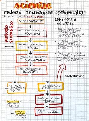 Metodo Scientifico Sperimentale: Esempi Facili per Bambini e Scuola Media