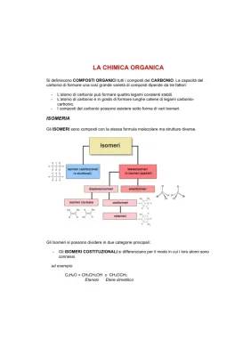 Guida Isomeria: Tipi di Isomeri, Esempi e PDF