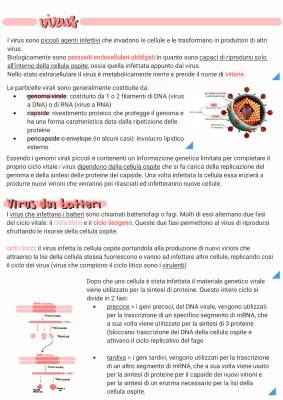 Ciclo Lisogeno e Litico: Spiegazioni Semplici e Differenze