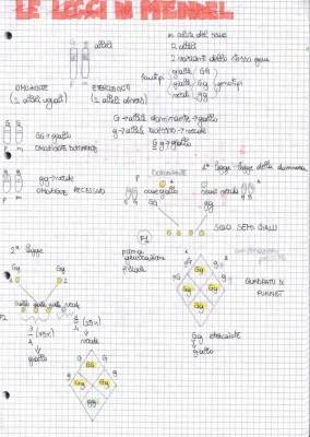 Le Leggi di Mendel: Schema Facile e Riassunto per Bambini