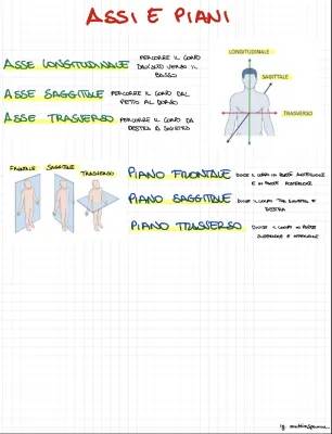 Fun with Body Planes and Axes: A Simple Guide for Kids