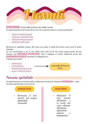 Schema e Riassunto dell'Apparato Tegumentario e dei Tessuti del Corpo Umano