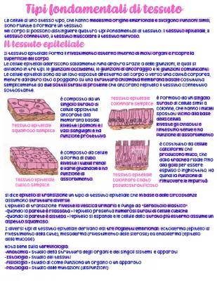 Scopri il Magico Mondo del Tessuto Epiteliale e Connettivo - Riassunto e Schemi per Bambini!