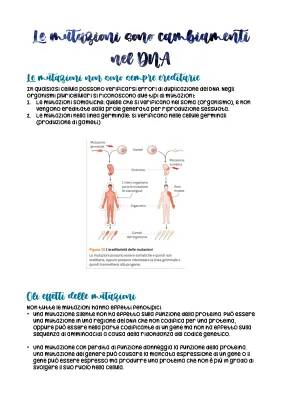 Le mutazioni genetiche: spiegazioni facili e esempi