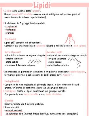 Scopri i Lipidi: Tipi, Funzioni e Curiosità Facilissime!