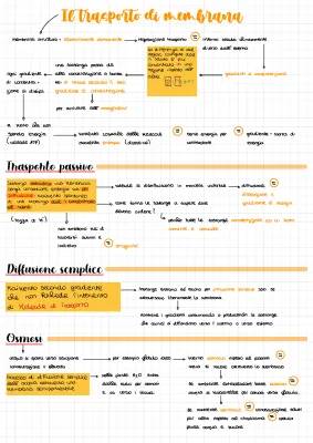 Trasporto di membrana: attivo, passivo, osmosi e diffusione