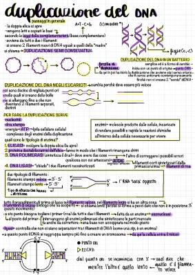 Biologia: Duplicazione e Replicazione del DNA per Ragazzi