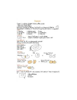 Esplora gli Insiemi Matematici: Diagrammi, Unione e Prodotto Cartesiano