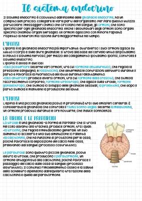 Riassunto del Sistema Endocrino: Funzioni, Organi e Ormoni