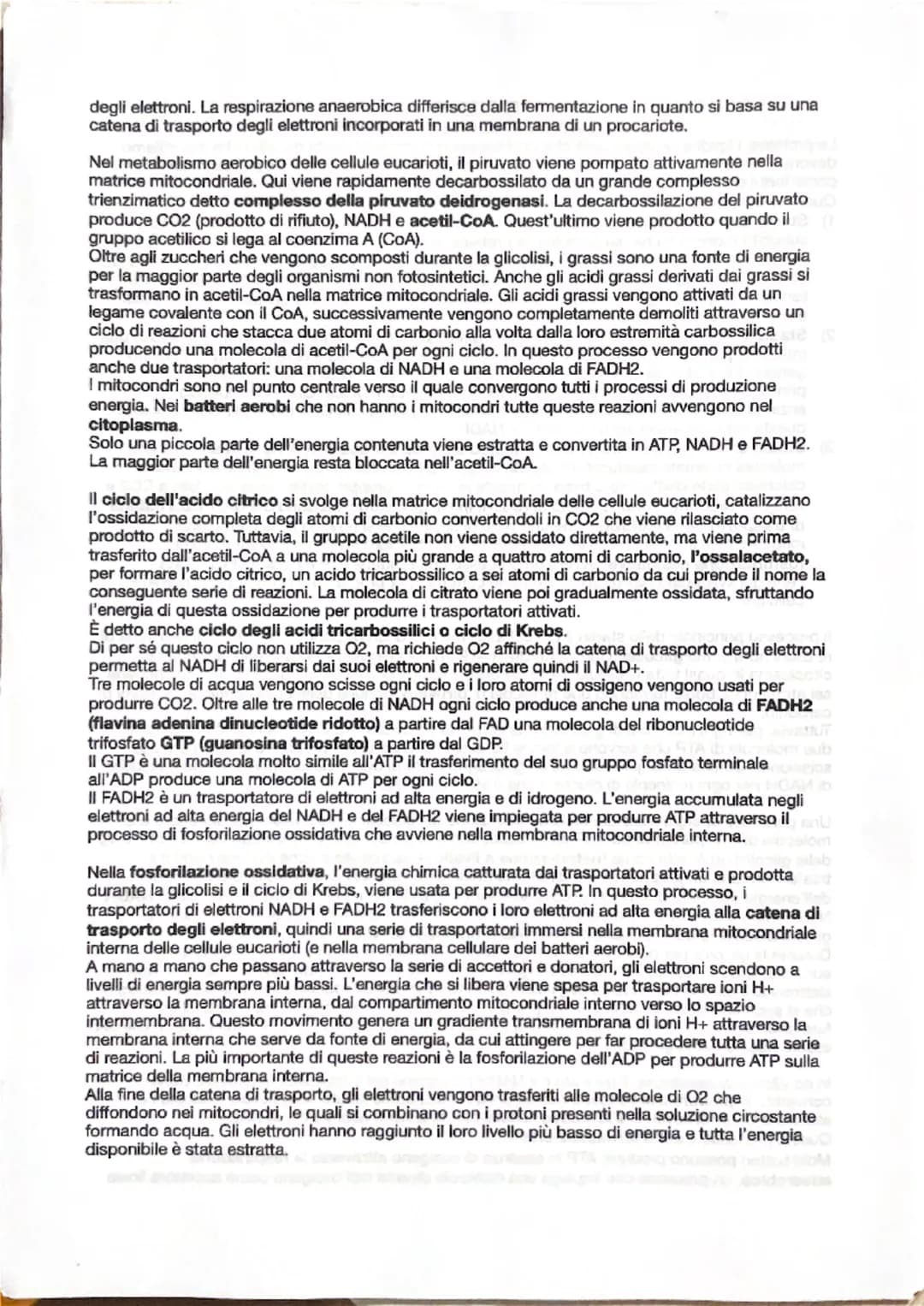 # CAPITOLO 13
LA RESPIRAZIONE CELLULARE

Le proteine, i lipidi e i polisaccaridi che costituiscono la maggior parte del cibo che assumiamo
d