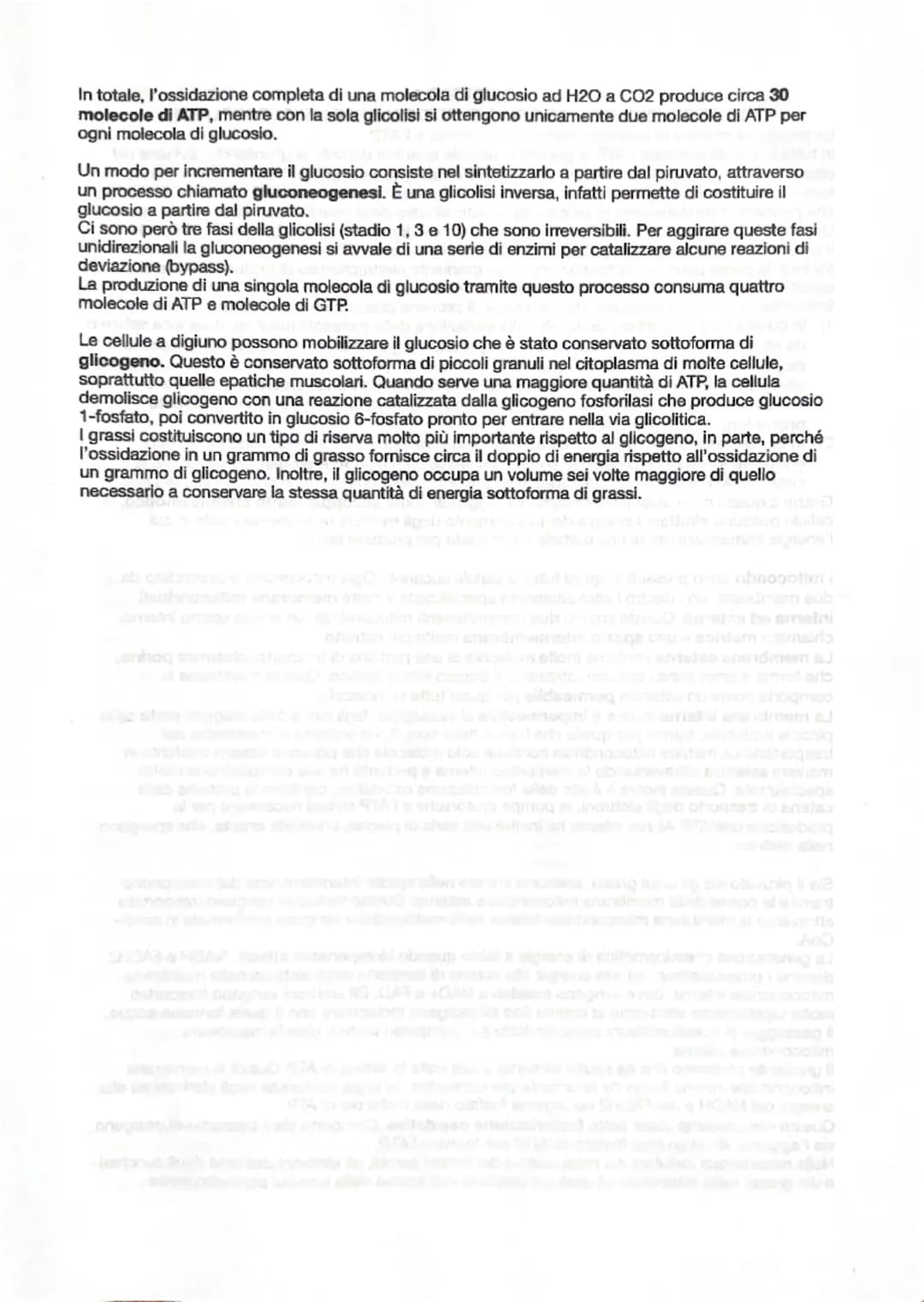 # CAPITOLO 13
LA RESPIRAZIONE CELLULARE

Le proteine, i lipidi e i polisaccaridi che costituiscono la maggior parte del cibo che assumiamo
d