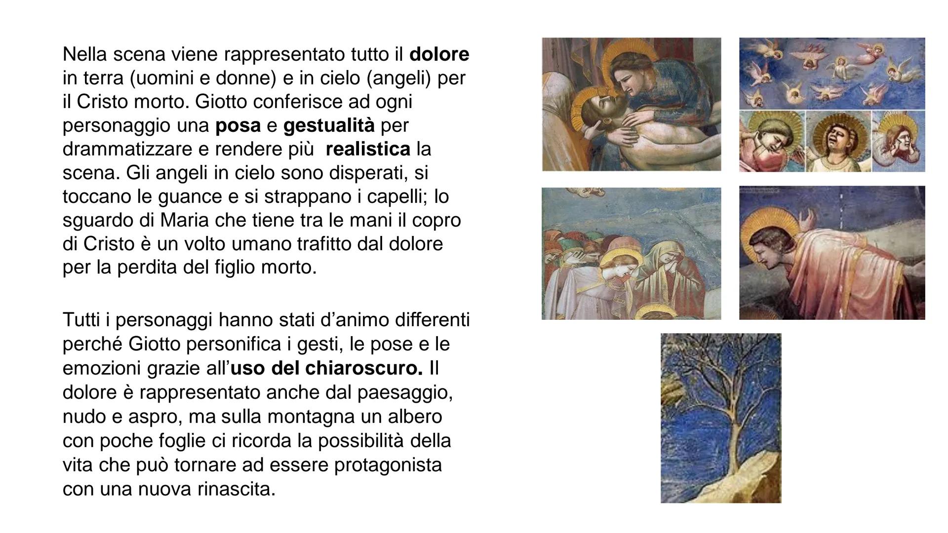 "Dono del mantello" ciclo delle storie di San
Francesco, autore Giotto, 1295-1299 circa, affresco,
230x270 cm, Basilica Superiore ad Assisi.