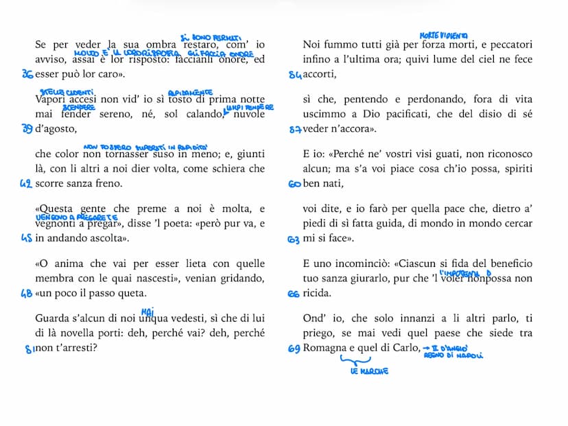 V canto
Il canto si apre con il motivo della meraviglia delle anime che vedono l'ombra fatta dal corpo di
Dante. Le anime pronunciano quasi 