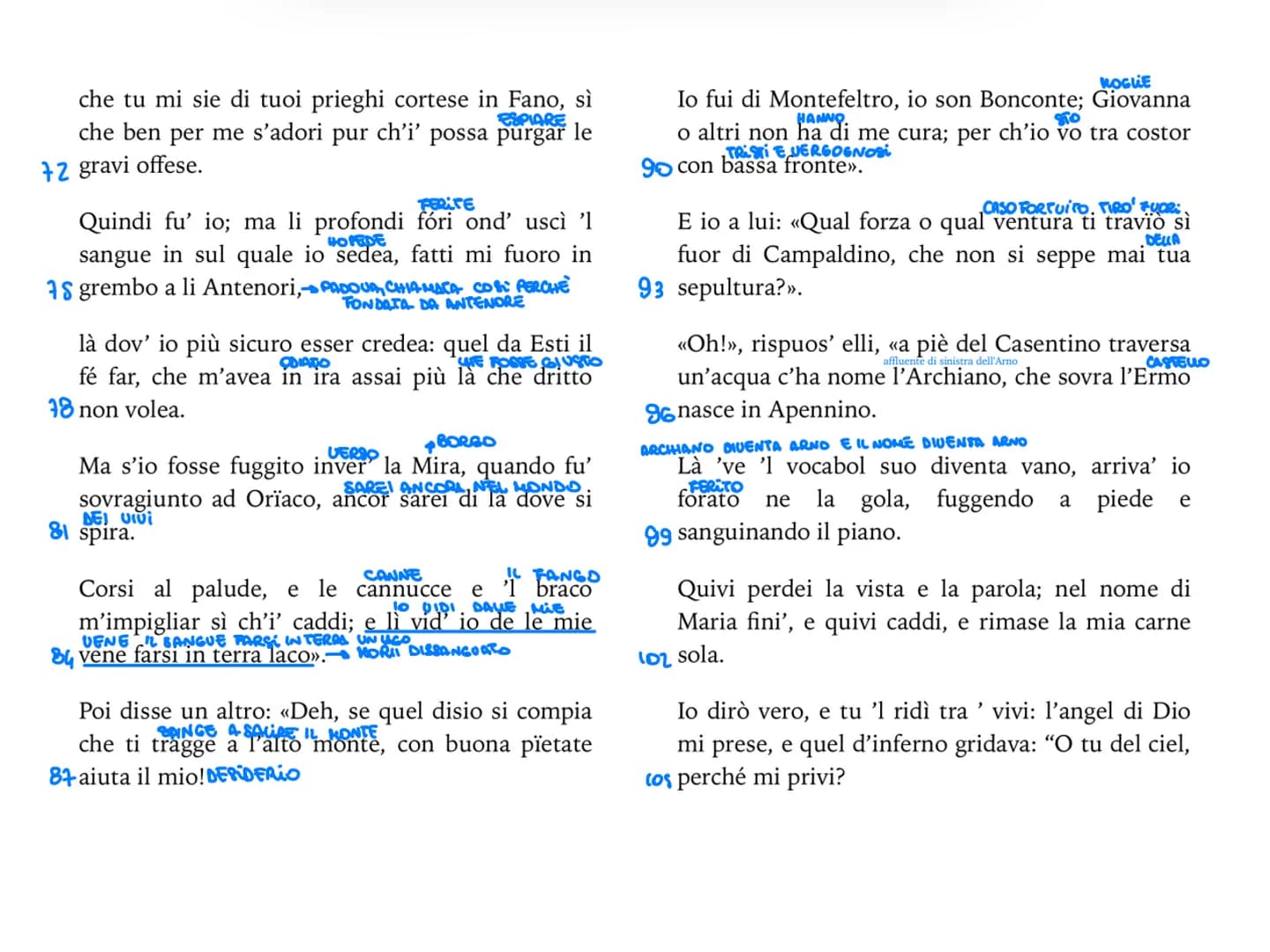 V canto
Il canto si apre con il motivo della meraviglia delle anime che vedono l'ombra fatta dal corpo di
Dante. Le anime pronunciano quasi 