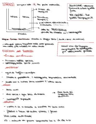 Know schema  argomenti principali per teoria della patente thumbnail