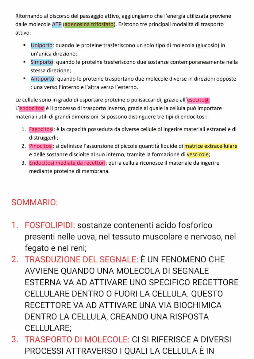 STRUTTURA E FUNZIONI DELLA MEMBRANA PLASMATICA
La membrana plasmatica consente alle cellule di interagire tra loro e regola gli scambi di
ma