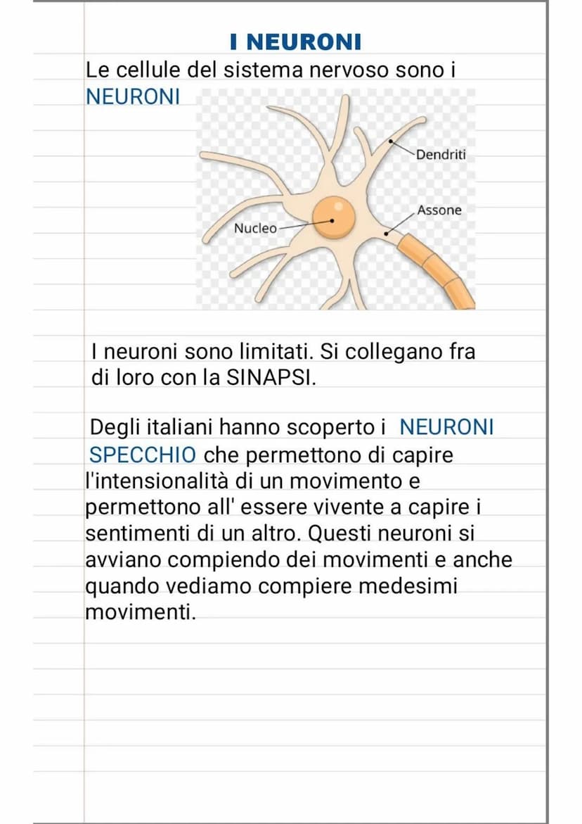 LA PERCEZIONE
La PERCEZIONE è uno dei processi
cognitivi della mente umana che permette di
scoprire l'ambiente. Noi percepiamo
attraverso gl