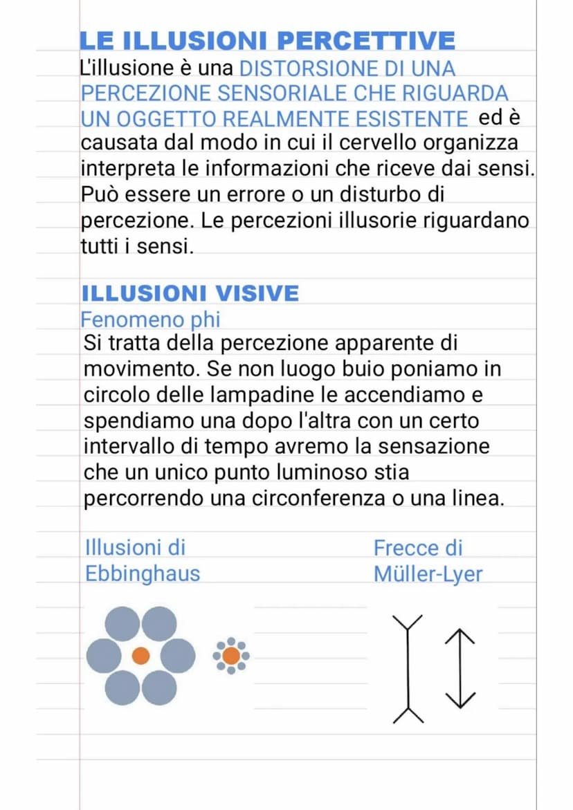 LA PERCEZIONE
La PERCEZIONE è uno dei processi
cognitivi della mente umana che permette di
scoprire l'ambiente. Noi percepiamo
attraverso gl
