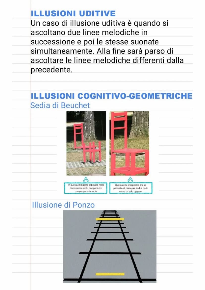 LA PERCEZIONE
La PERCEZIONE è uno dei processi
cognitivi della mente umana che permette di
scoprire l'ambiente. Noi percepiamo
attraverso gl