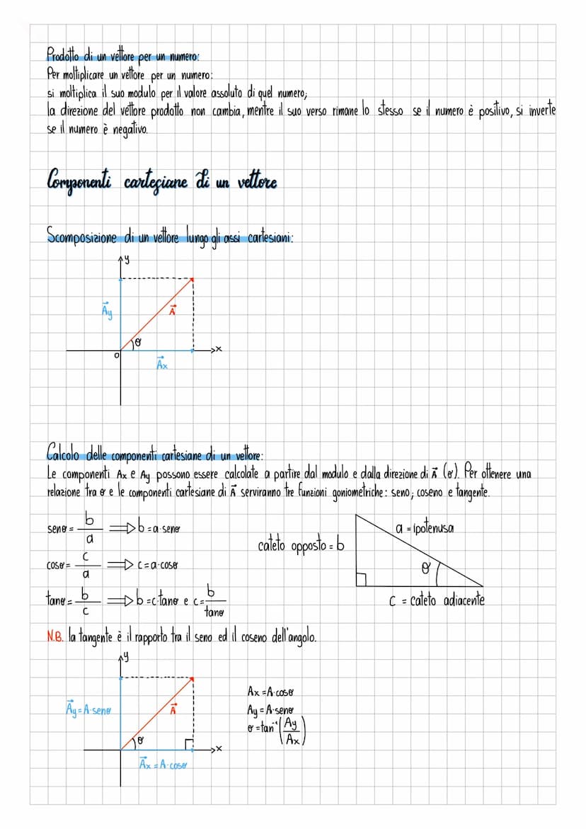 I vettori e le forze
Una grandezza vettoriale è una grandezza fisica rappresentata matematicamente da un vettore.
Un vettore è un ente matem