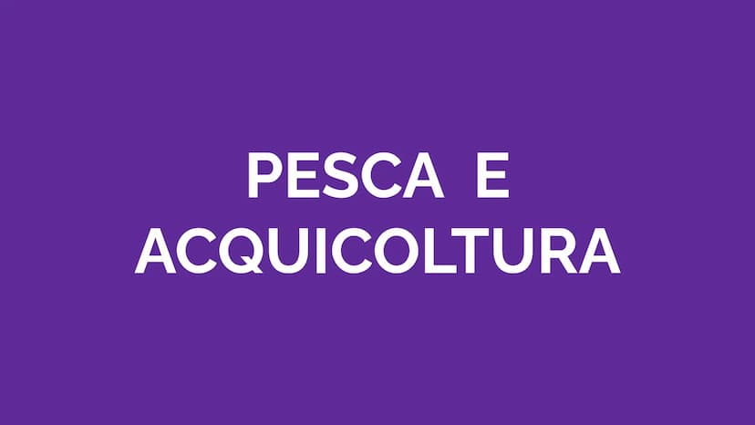 
<p>La zootecnia è una scienza che si occupa dell'allevamento degli animali domestici utili all'uomo, con un focus sul profilo genetico ed e