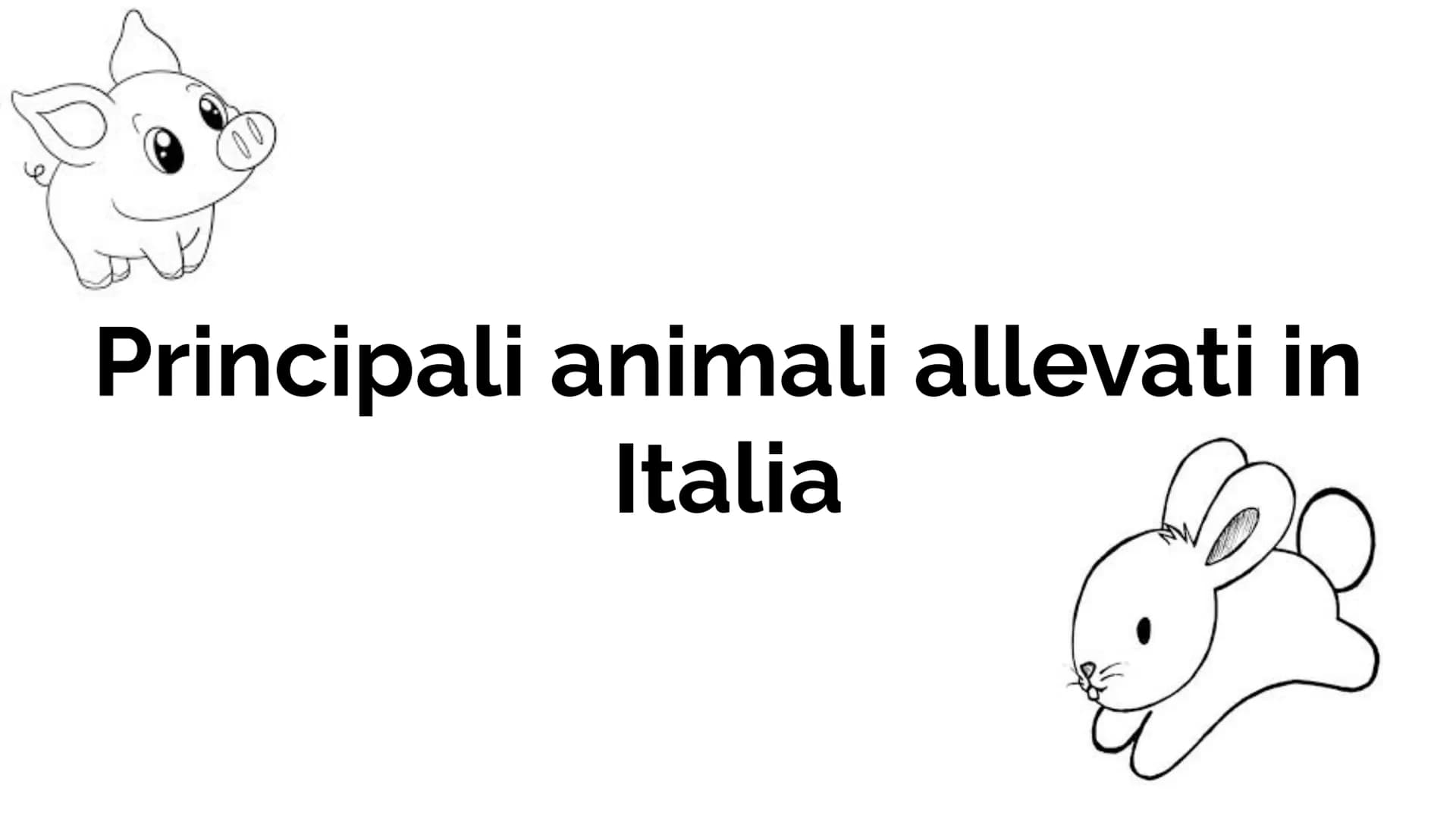 
<p>La zootecnia è una scienza che si occupa dell'allevamento degli animali domestici utili all'uomo, con un focus sul profilo genetico ed e