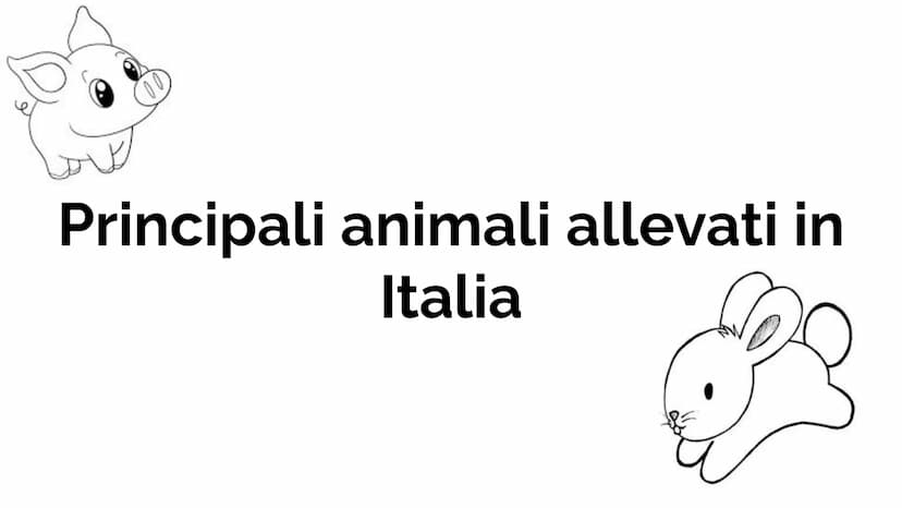 
<p>La zootecnia è una scienza che si occupa dell'allevamento degli animali domestici utili all'uomo, con un focus sul profilo genetico ed e
