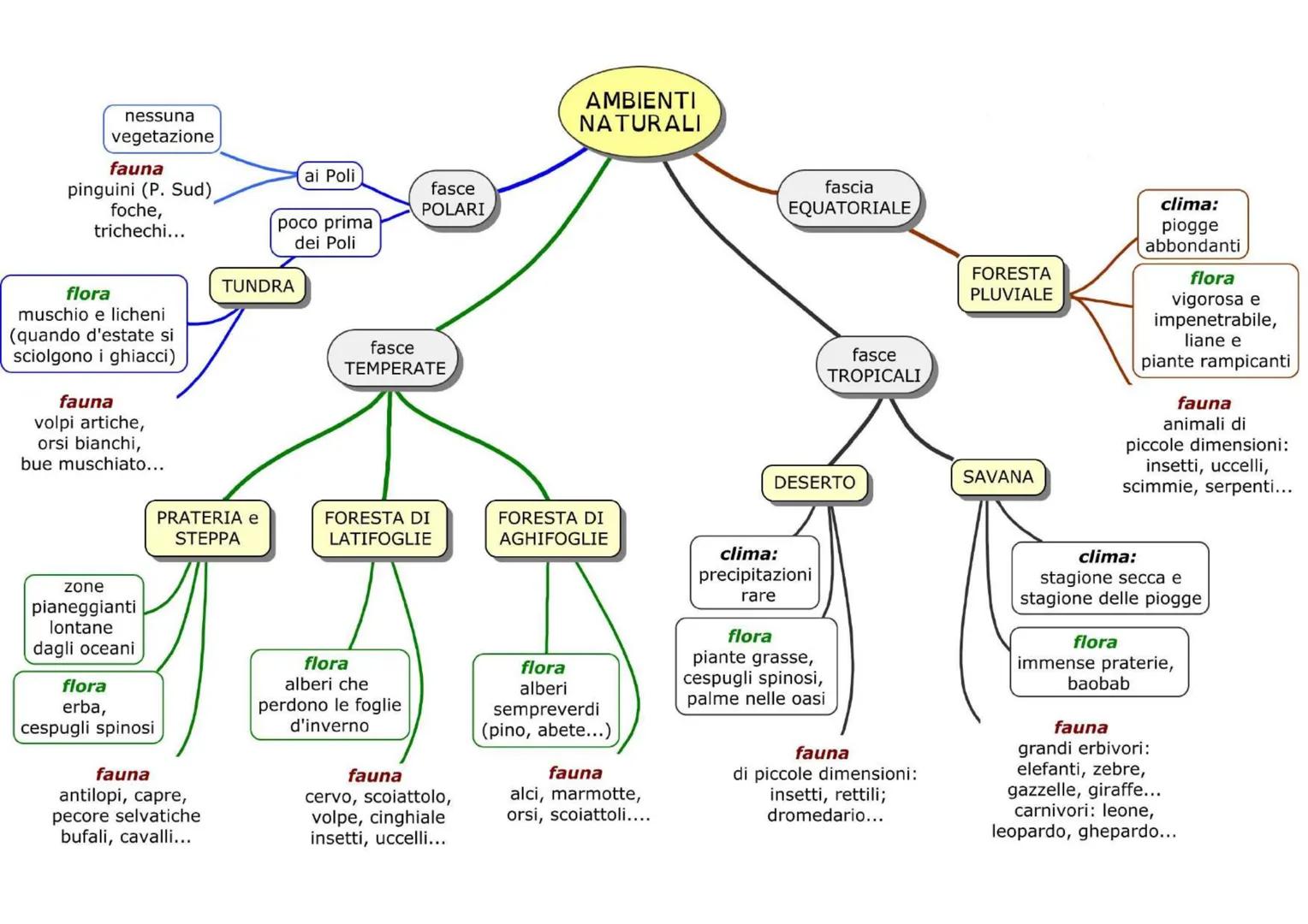 i diversi climi
formano diversi
ambienti naturali
dipendono dalla
diversa esposizione
ai raggi del sole
2 fasce polari
2 fasce temperate
1 f
