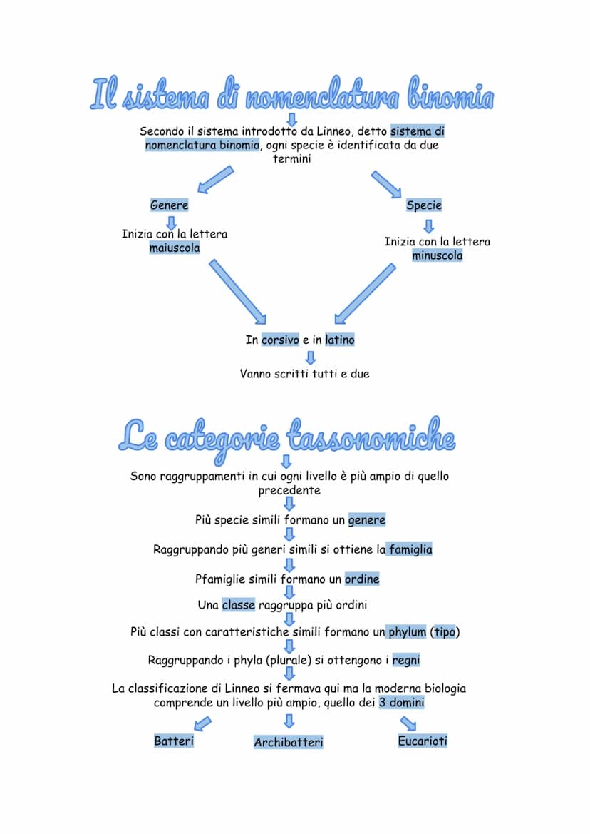 La tassonomia
È il ramo della biologia che si occupa di riconoscere, distinguere e
classificare tutti gli organismi
Il primo classificatore 