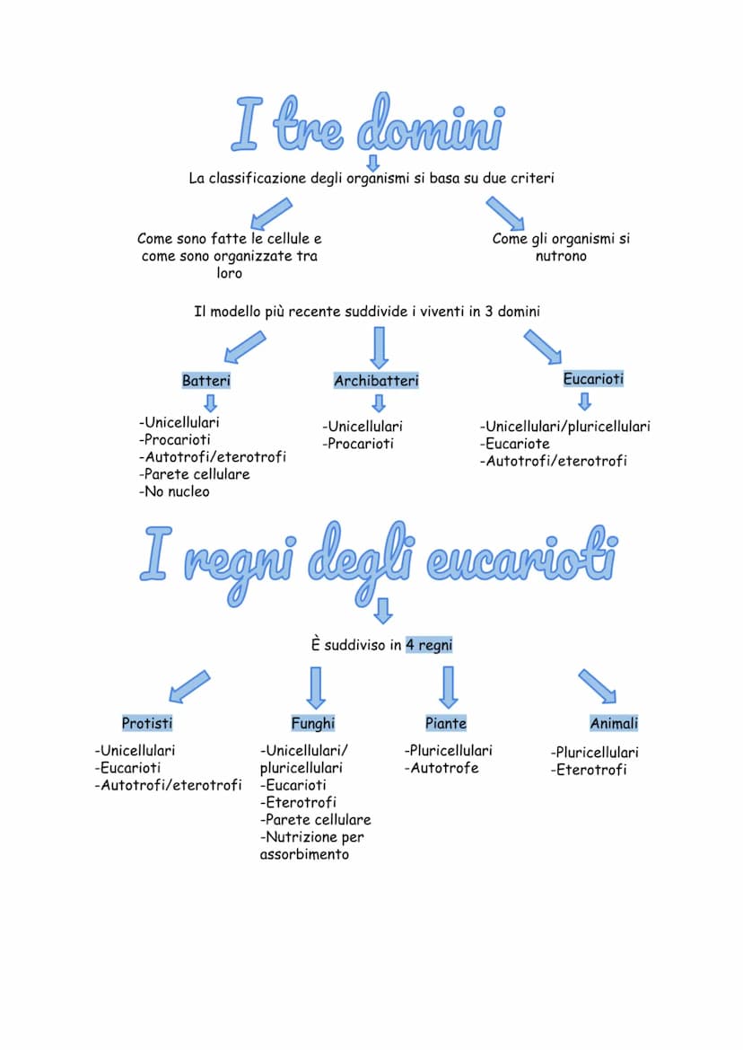La tassonomia
È il ramo della biologia che si occupa di riconoscere, distinguere e
classificare tutti gli organismi
Il primo classificatore 