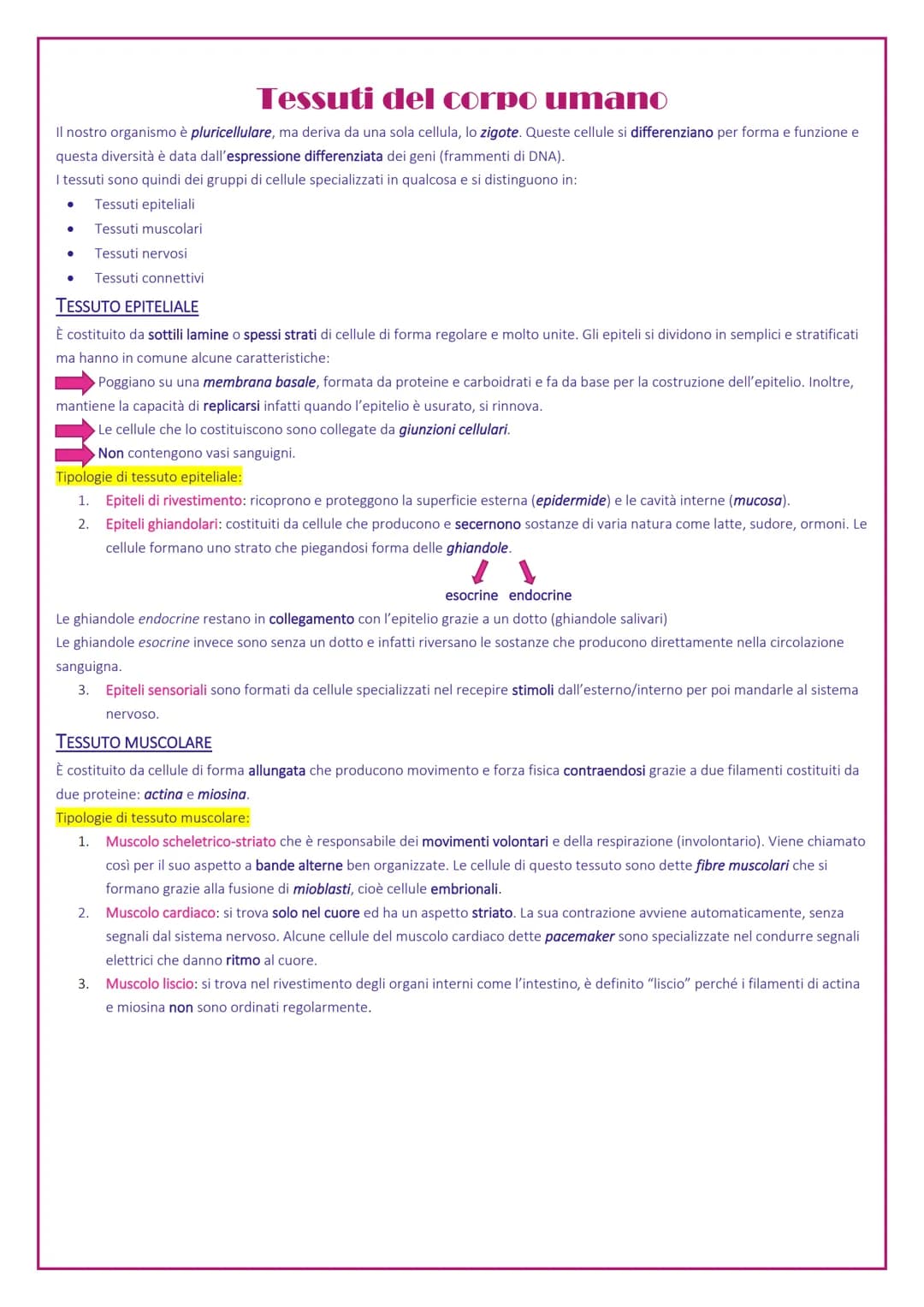 Tessuti del corpo umano
Il nostro organismo è pluricellulare, ma deriva da una sola cellula, lo zigote. Queste cellule si differenziano per 