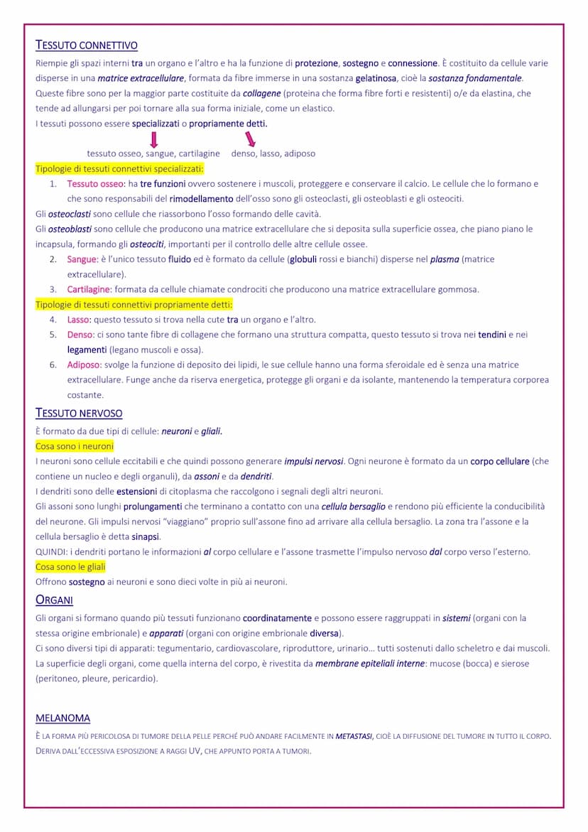 Tessuti del corpo umano
Il nostro organismo è pluricellulare, ma deriva da una sola cellula, lo zigote. Queste cellule si differenziano per 