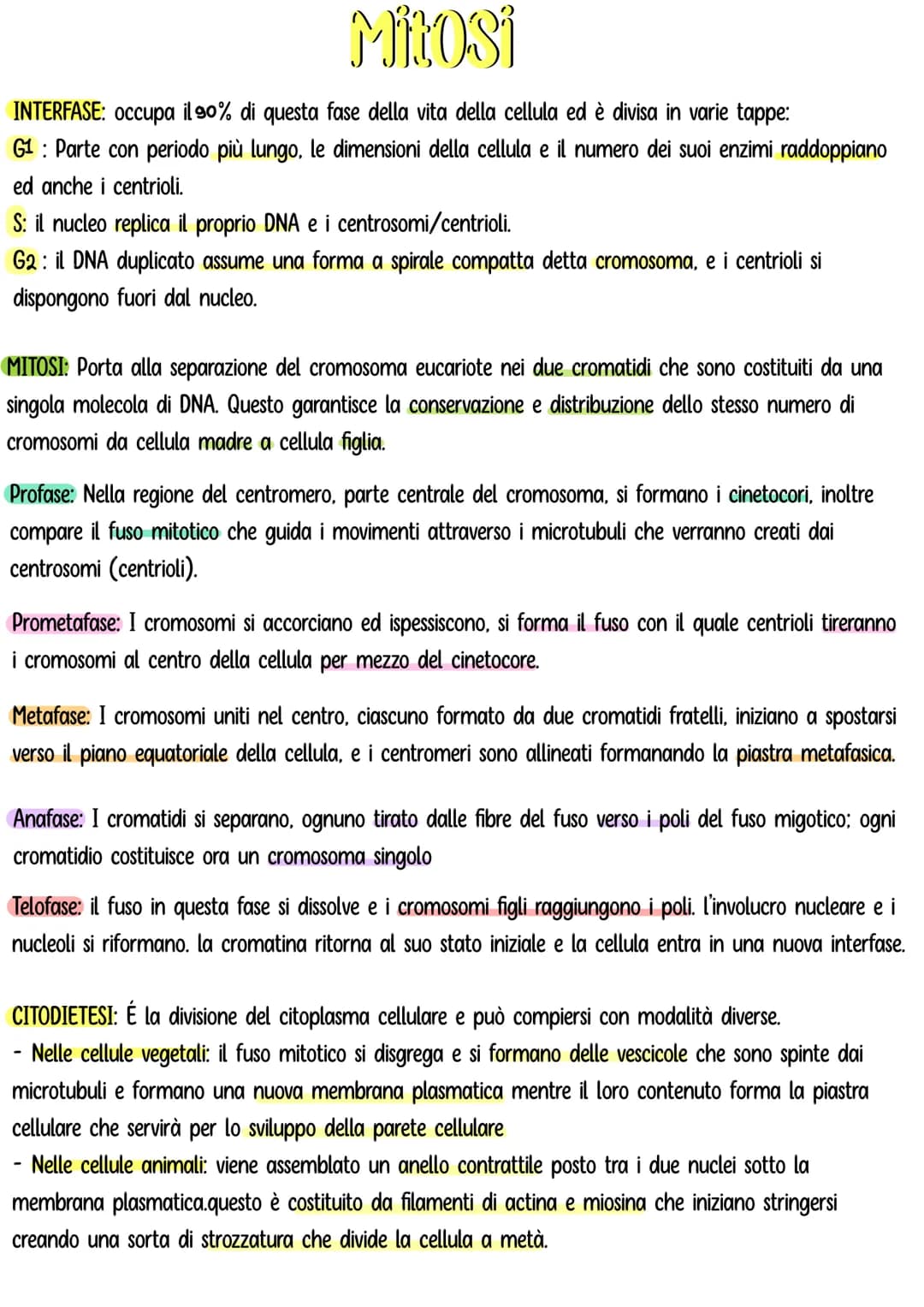 MIROSI
INTERFASE: occupa il 90% di questa fase della vita della cellula ed è divisa in varie tappe:
G1 Parte con periodo più lungo, le dimen