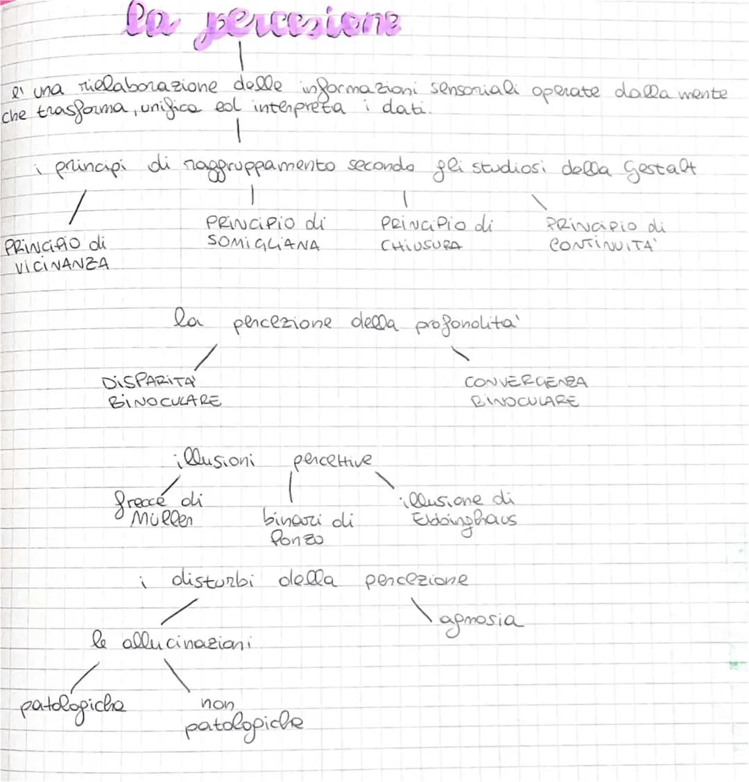 La Percezione e la Psicologia della Gestalt per Ragazzi: Mappa e Principi Semplici