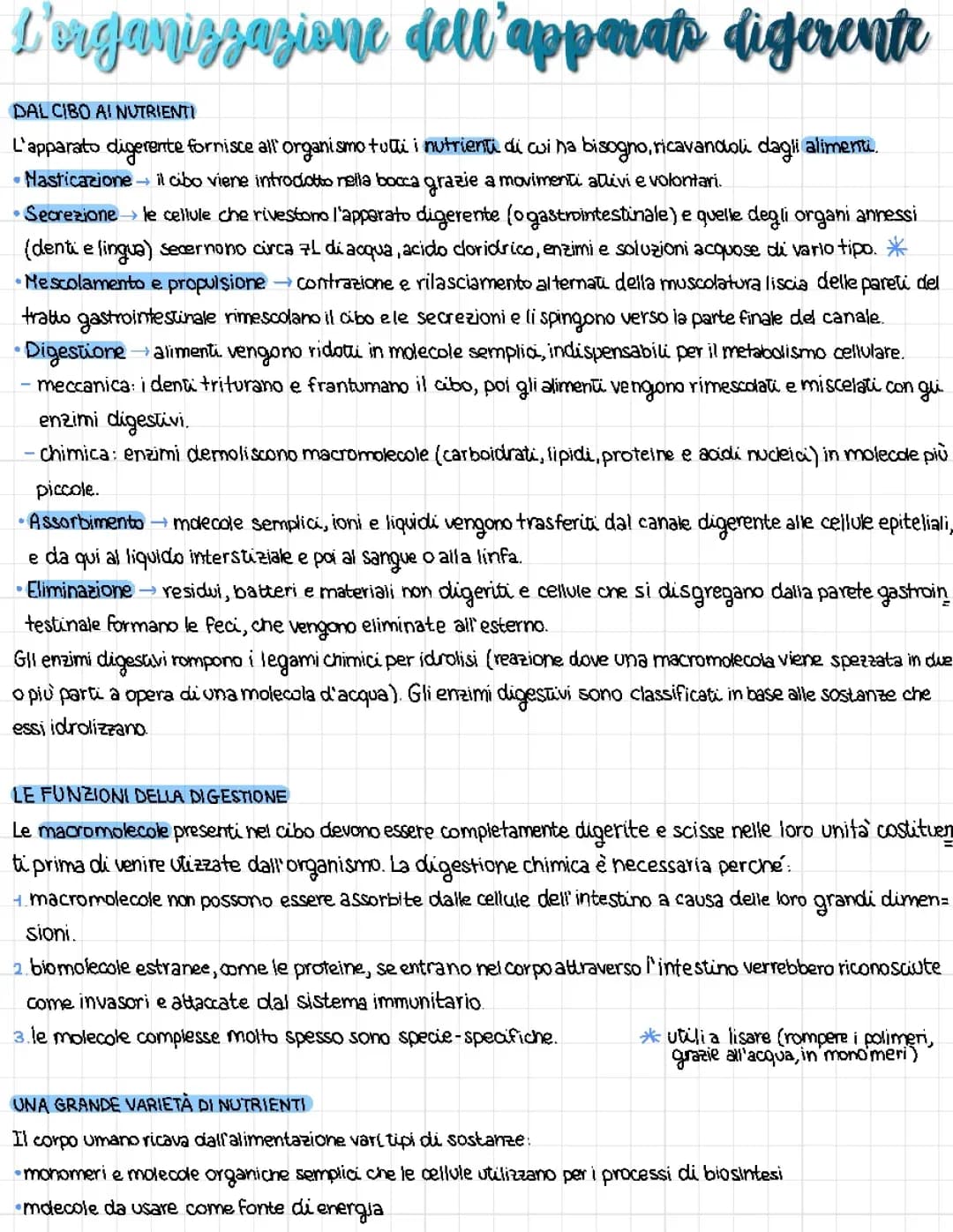 L’apparato digerente 