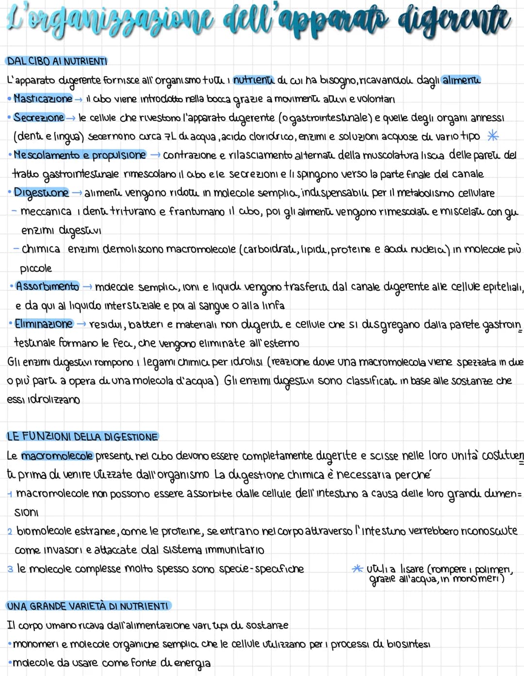 L'organissazione dell'apparates digerente
DAL CIBO AI NUTRIENTI
L'apparato digerente fornisce all'organismo futu i nutrienti di cui ha bisog