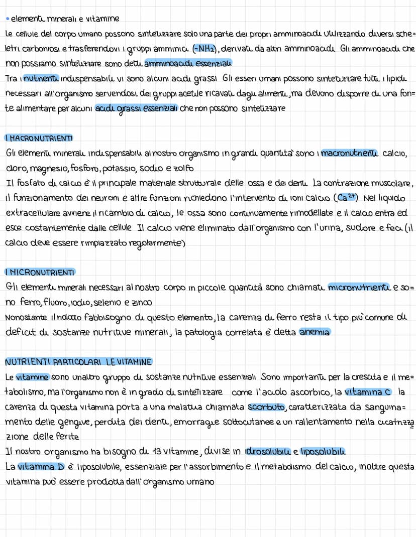 L'organissazione dell'apparates digerente
DAL CIBO AI NUTRIENTI
L'apparato digerente fornisce all'organismo futu i nutrienti di cui ha bisog