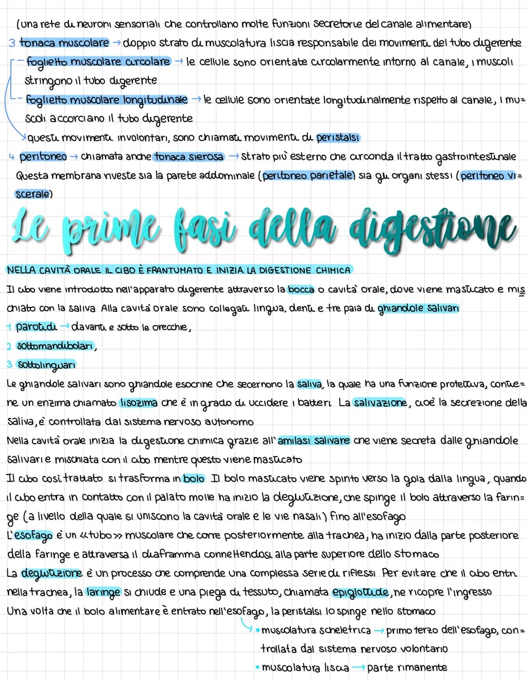 L'organissazione dell'apparates digerente
DAL CIBO AI NUTRIENTI
L'apparato digerente fornisce all'organismo futu i nutrienti di cui ha bisog