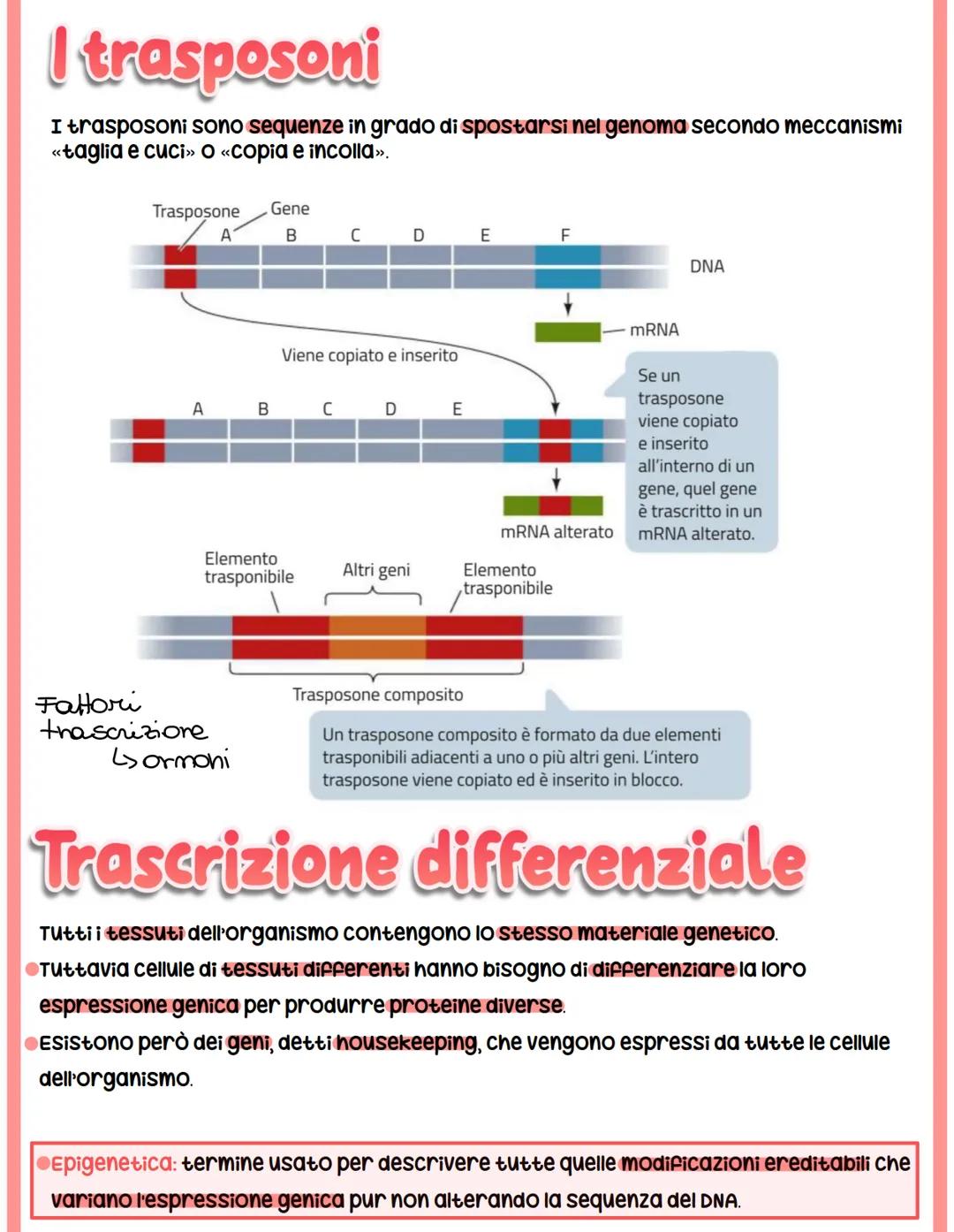 # REGOLAZIONE

# DELL'ESPRESSIONE

# GENICA

## Genoma eucariotico

@Genomica funzionale: sfrutta le informazioni di sequenza per identifica