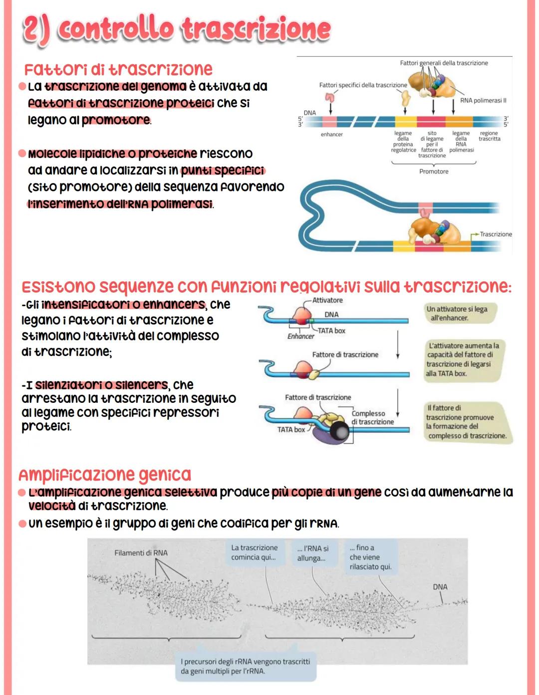 # REGOLAZIONE

# DELL'ESPRESSIONE

# GENICA

## Genoma eucariotico

@Genomica funzionale: sfrutta le informazioni di sequenza per identifica