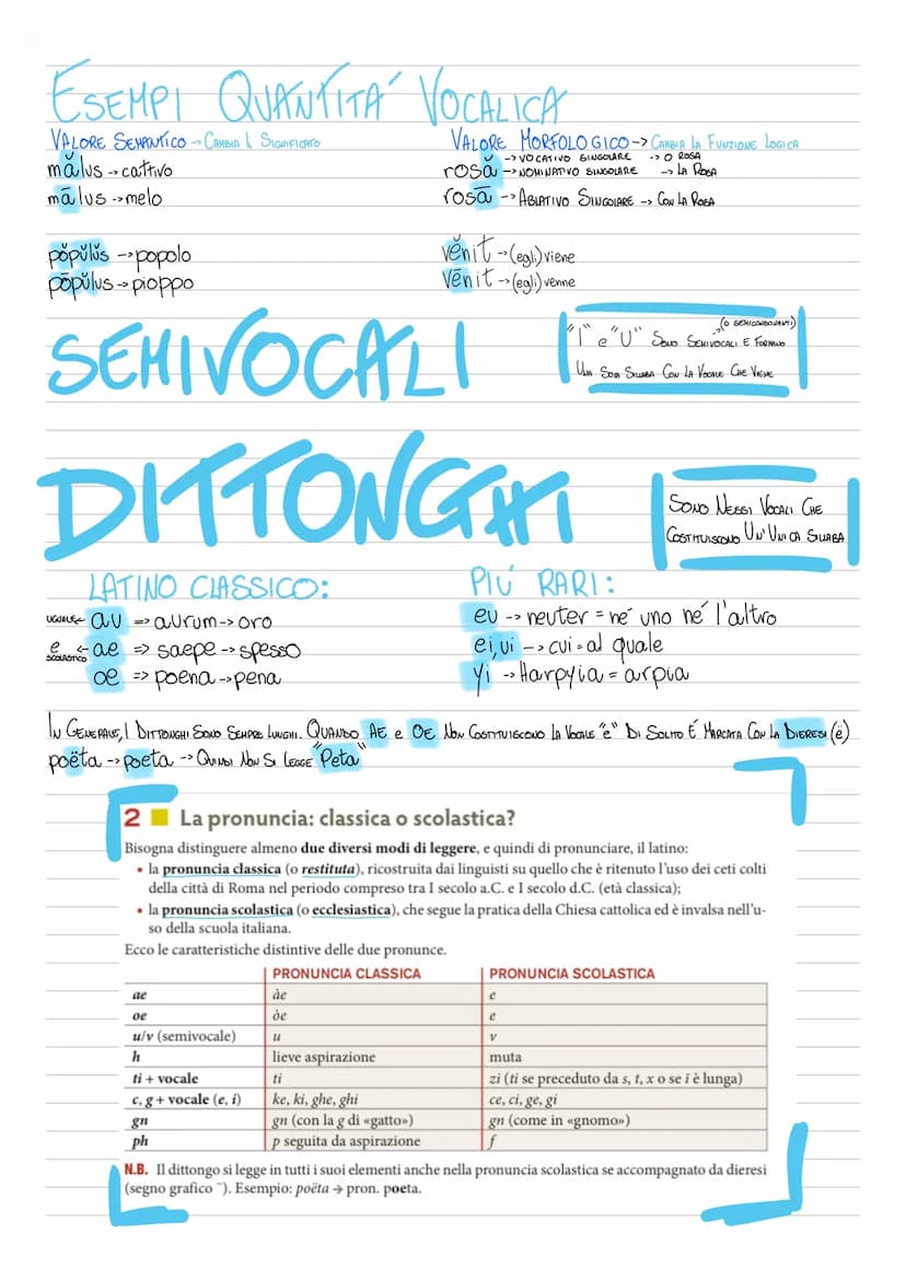 LIKKINO
PAROLE
DISCIPULA, AE (STUDENTESSA, E)
DISCIPULUS, -I (STUDENTE, 1)
MAGISTRA, -AE (HAESTRA, E)
SELLA, -AE (SEDIA, E)
MENSA, -AC (TAVO