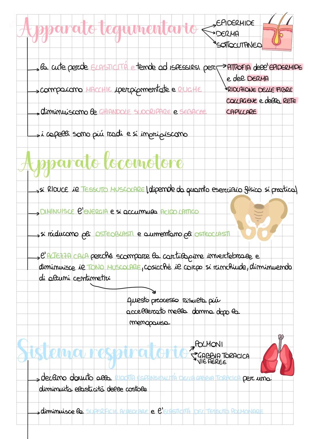 La senescenza
Aspetti demografici ed epidemiologici
dell'invecchiamento
Le DISCIPLINE GERIATRICHE si occupano non solo di ASSISTERE GLIANZIA