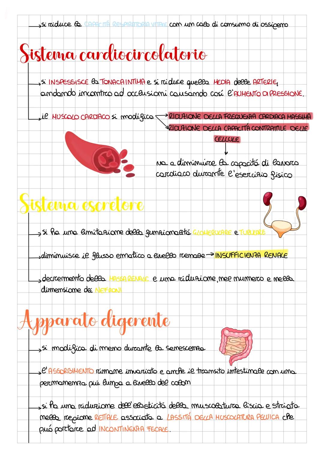 La senescenza
Aspetti demografici ed epidemiologici
dell'invecchiamento
Le DISCIPLINE GERIATRICHE si occupano non solo di ASSISTERE GLIANZIA