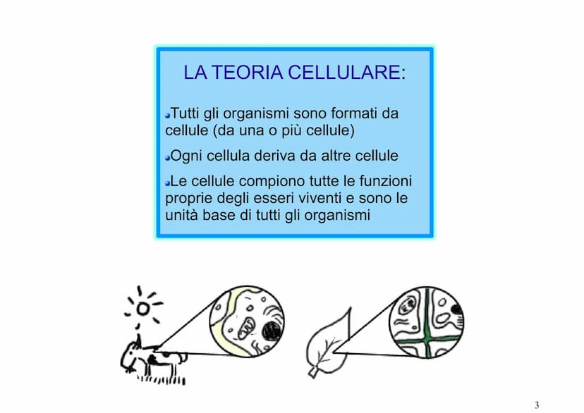 La cellula
BY
EF6691 5.0 kV X15. ok 200m
https://www.youtube.com/watch?v=gFuEo2ccTPA Fig:5.
Fig: 6:
Fig: 2.
Apreut
Fig:1.
I microscopi costr