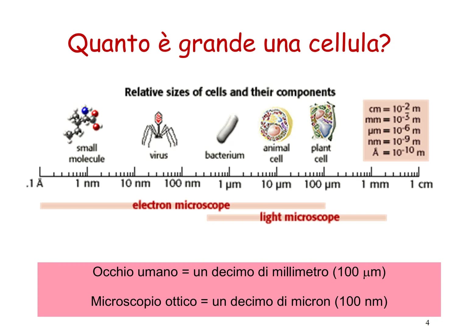 La cellula
BY
EF6691 5.0 kV X15. ok 200m
https://www.youtube.com/watch?v=gFuEo2ccTPA Fig:5.
Fig: 6:
Fig: 2.
Apreut
Fig:1.
I microscopi costr