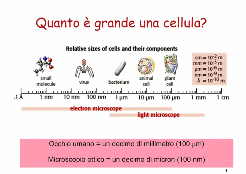 La cellula
BY
EF6691 5.0 kV X15. ok 200m
https://www.youtube.com/watch?v=gFuEo2ccTPA Fig:5.
Fig: 6:
Fig: 2.
Apreut
Fig:1.
I microscopi costr
