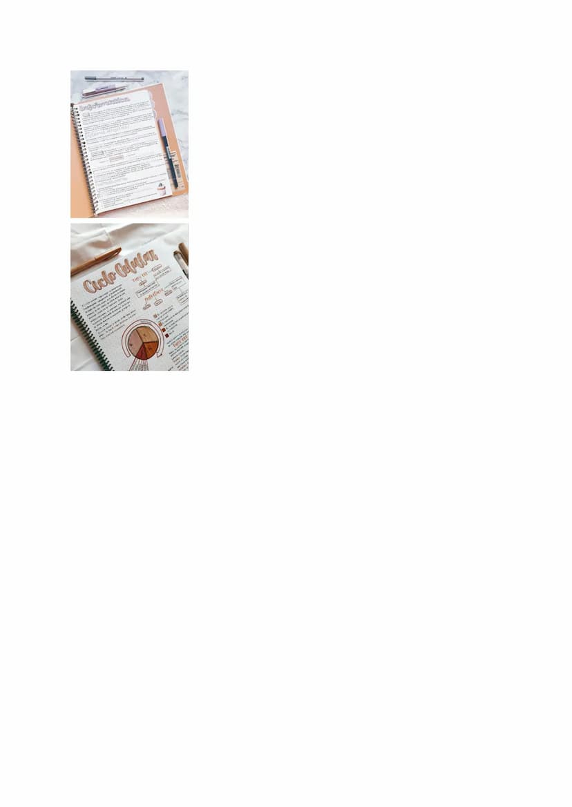 COME PRENDERE APPUNTI AESTHETIC metodo by me ~stellaesthetic~
Per prendere appunti estetici è necessario scegliere una combinazione di color
