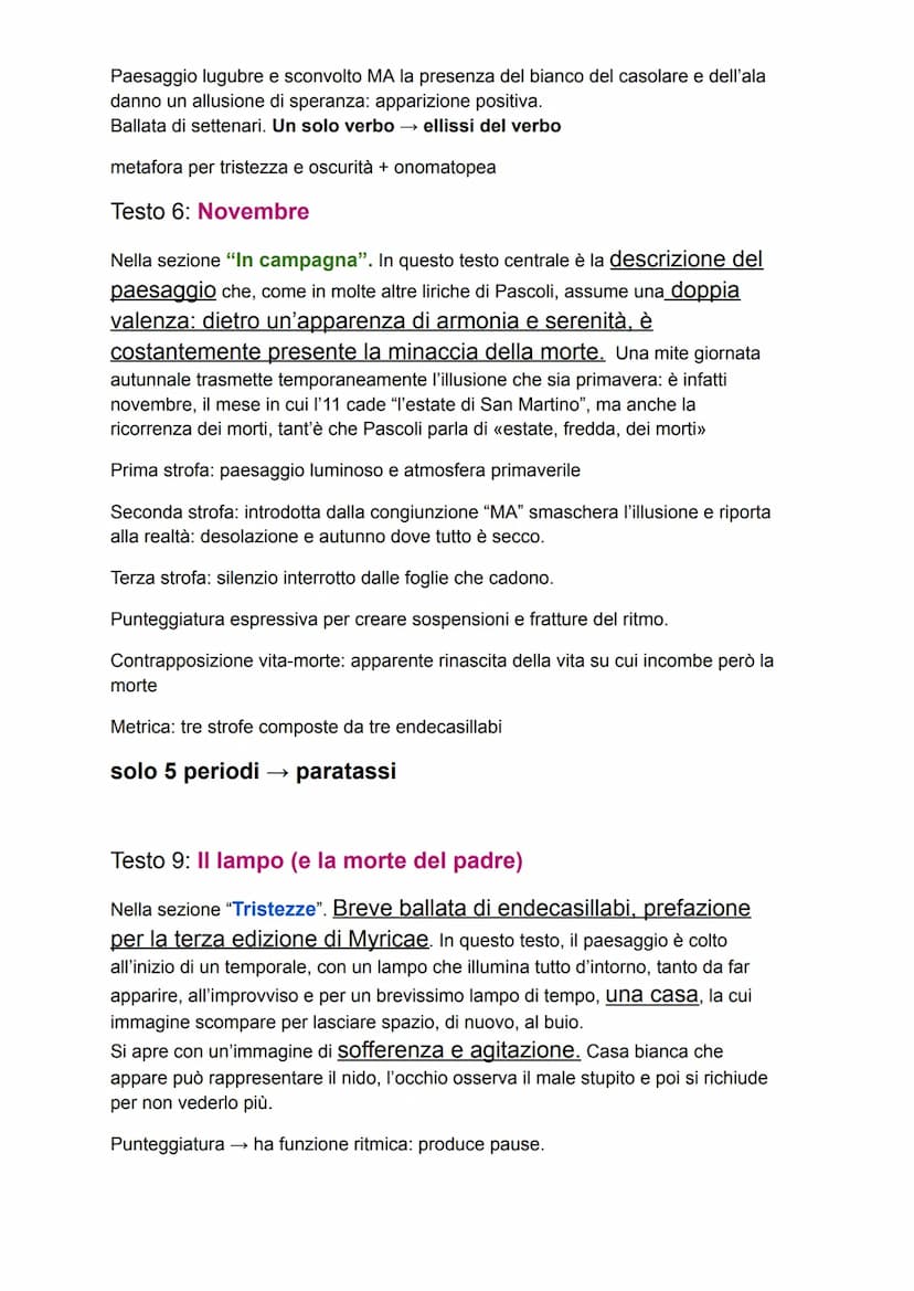 Giovanni Pascoli
Giovanni Pascoli è nato a San Magno di Romagna. Il padre viene assassinato.
Questo evento segna Pascoli per tutta la vita: 